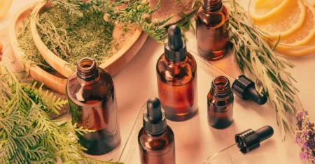 10 Óleos Essenciais Indispensáveis para Iniciantes na Aromaterapia (Guia Completo)
