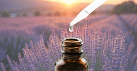 Óleo de Lavanda: Benefícios, Usos e Aplicação | Verdeja